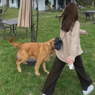 爱在惜别时